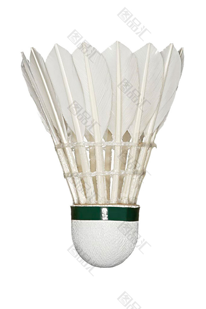 讨论迅速在 讨论迅速在