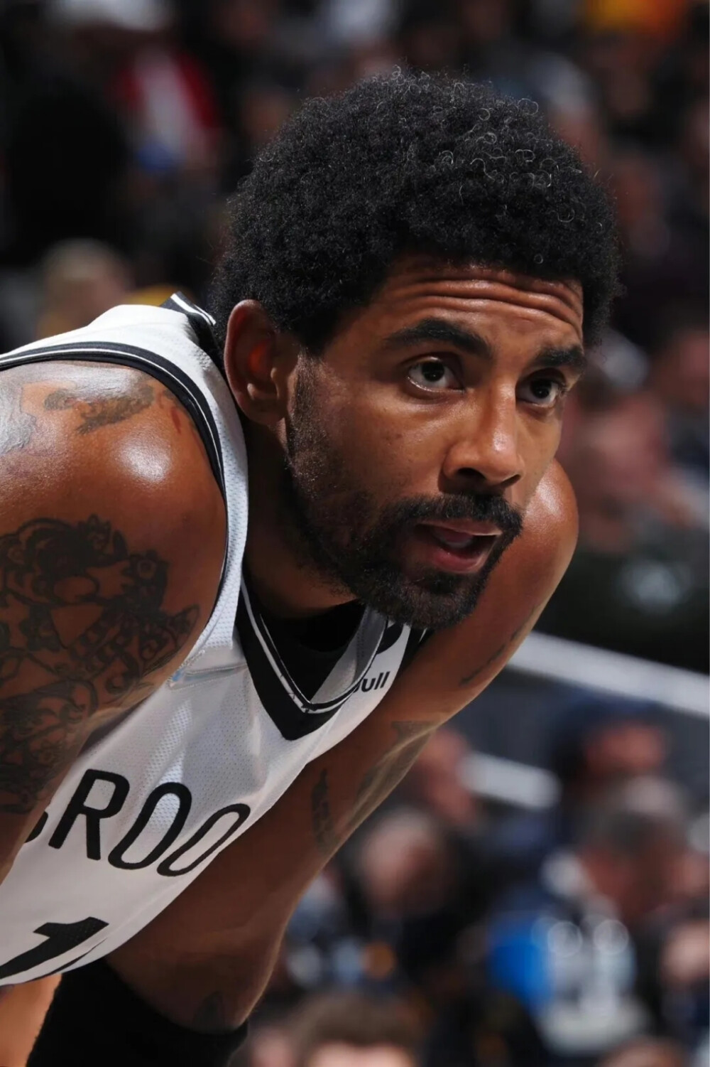 初步调查 初步调查