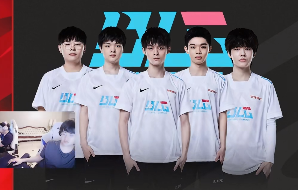 大的几次松 大的几次松