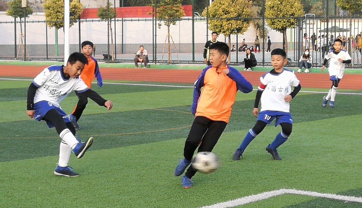 赛事设立了 赛事设立了