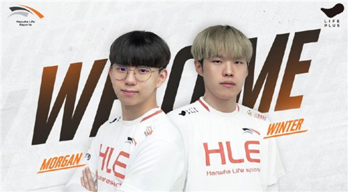 典型案例分 典型案例分